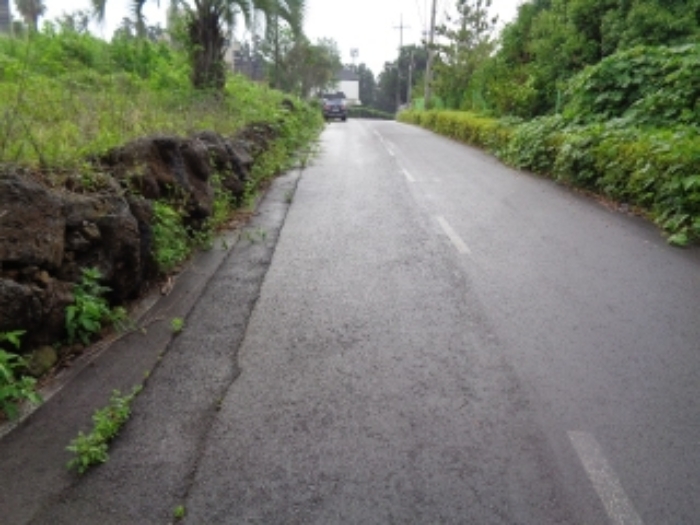 소재지2(강정동 3370-4) 전경사진