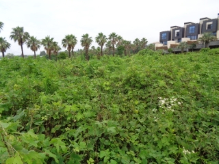 소재지3(강정동 3370-22)전경 사진