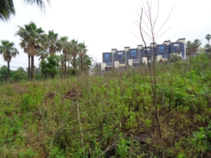 소재지3(강정동 3370-22)전경 사진