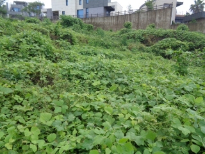 소재지4(강정동 3370-23) 전경사진