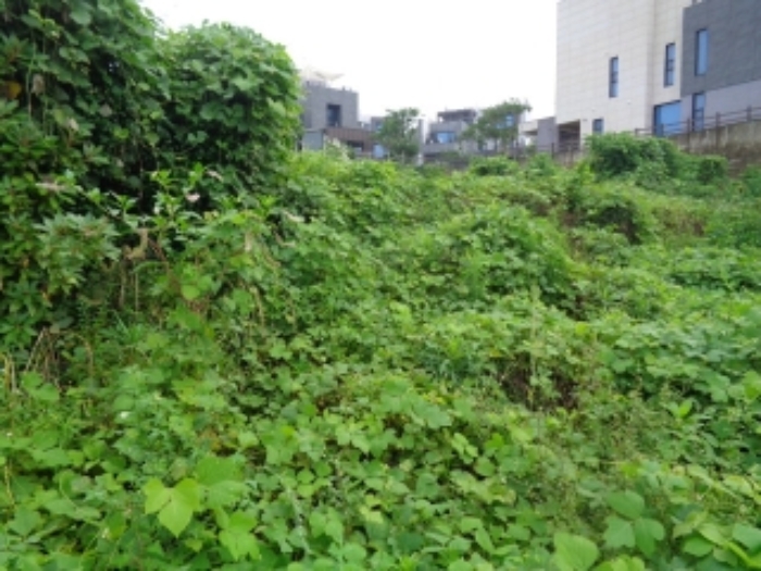 소재지4(강정동 3370-23) 전경사진