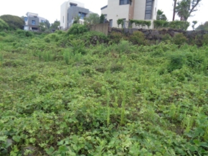 소재지5(강정동 3370-24) 전경사진