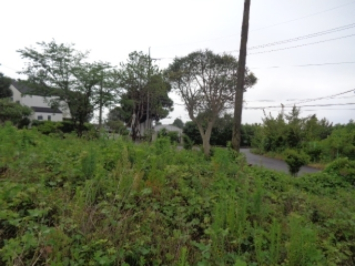 소재지5(강정동 3370-24) 전경사진