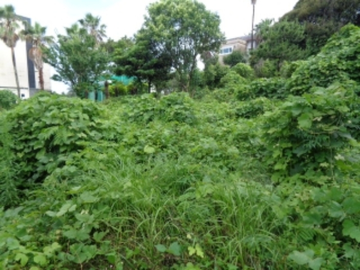 소재지6(강정동 3378-8) 전경사진