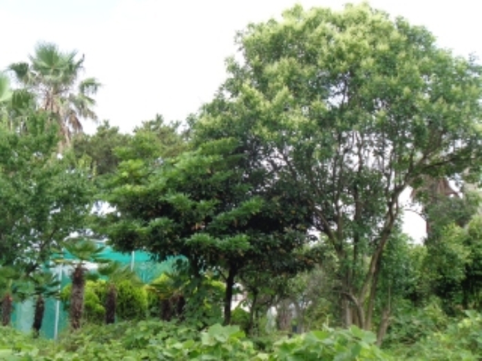 소재지6(강정동 3378-8) 전경사진