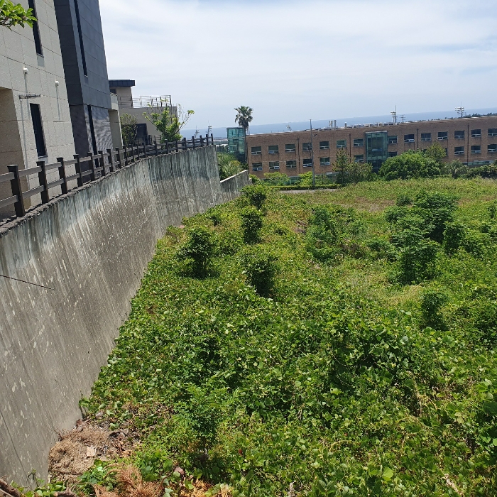 동측 인접지와 해당 토지와의 단차: 지적 일부 불일치