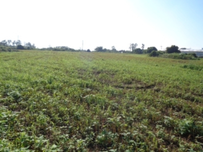 소재지1(낙천리 2374)전경 사진