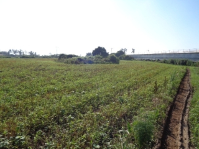 소재지2(낙천리 2374-2)전경 사진