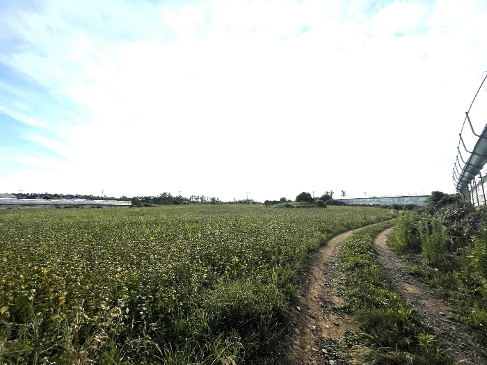 기호(1,2) 전경
(촬영위치 : 본건 남동측)