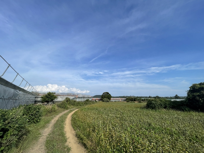 기호(2) 전경
(촬영위치 : 본건 북서측)