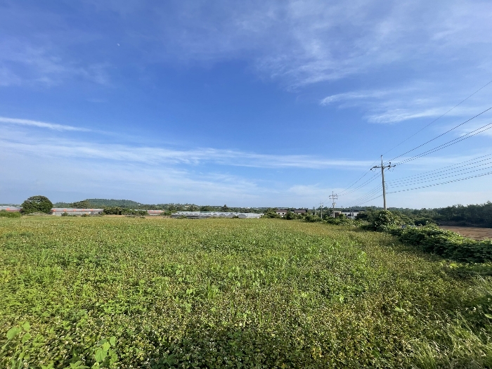 기호(1) 전경
(촬영위치 : 본건 북서측)