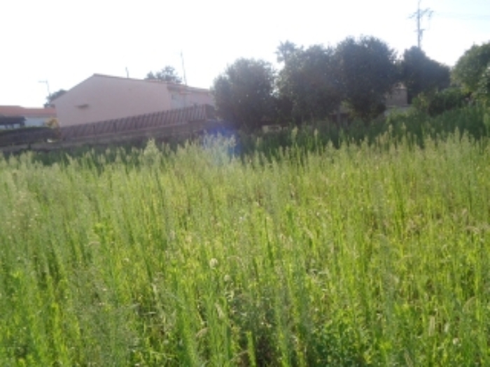 본건 소재지1(장전리 1122-2) 전경 사진