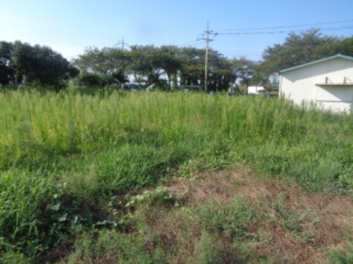 본건 소재지1(장전리 1122-2) 전경 사진