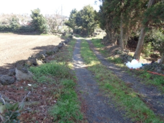 소재지5.(어음리 3062-2) 전경