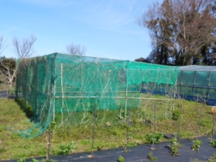 소재지1.(어음리 3064-1)