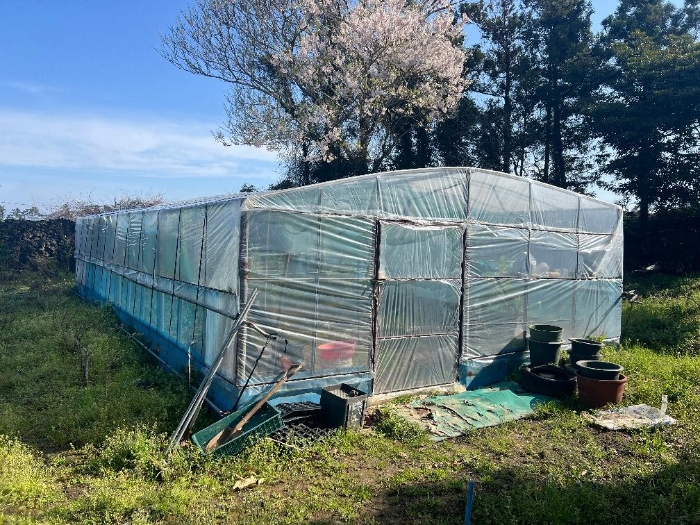 제시외건물(ㅁ)