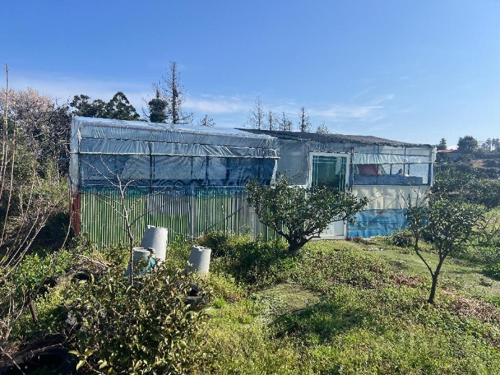 제시외건물(ㅂ)