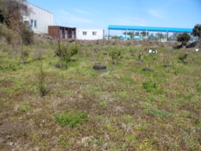 소재지1.(어음리 3064-1)