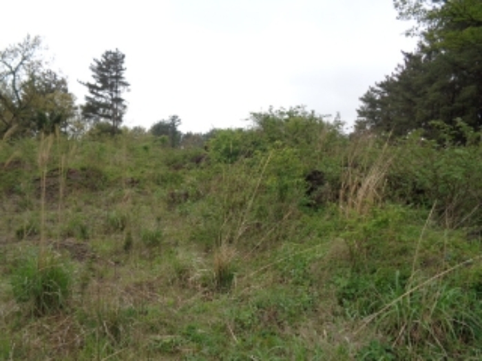 소재지1.(상가리 36-3)