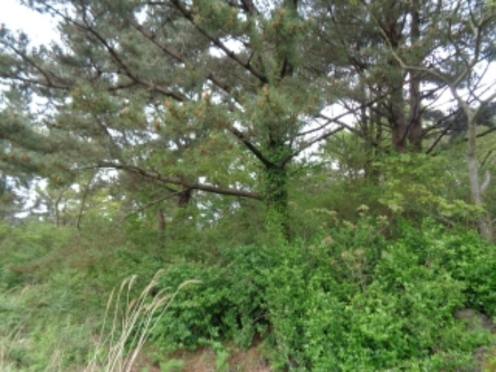 소재지2.(상가리 36-4)