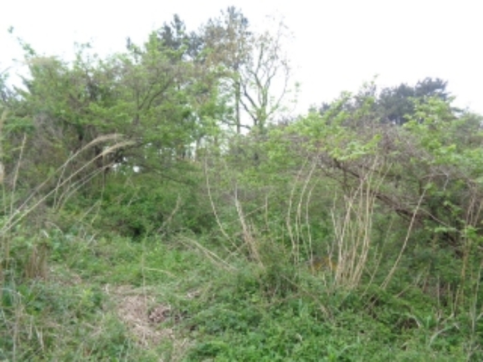 소재지3.(상가리 36-5)