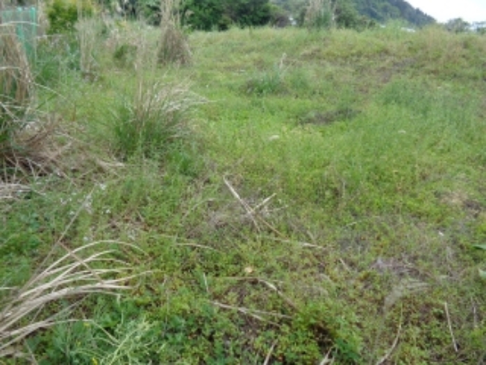 소재지2.(창천리 928-1) 전경