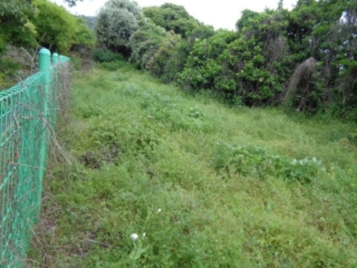 소재지3.(창천리 927-1) 전경