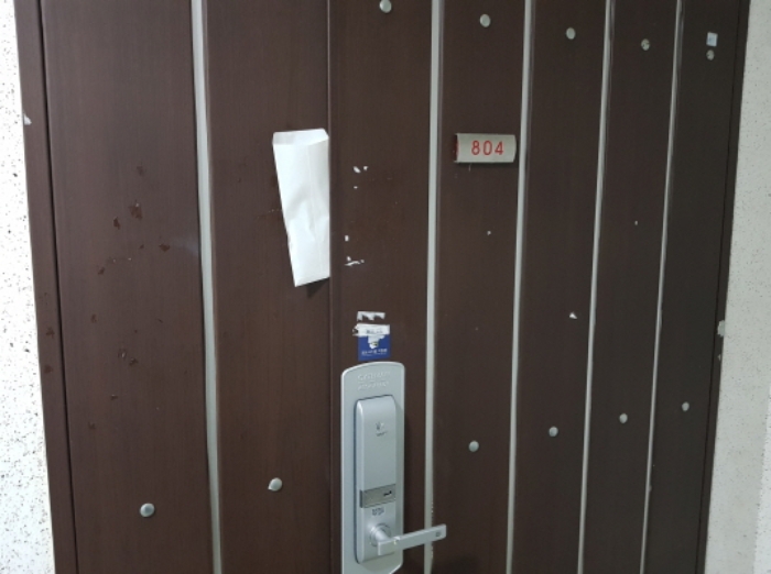 804호