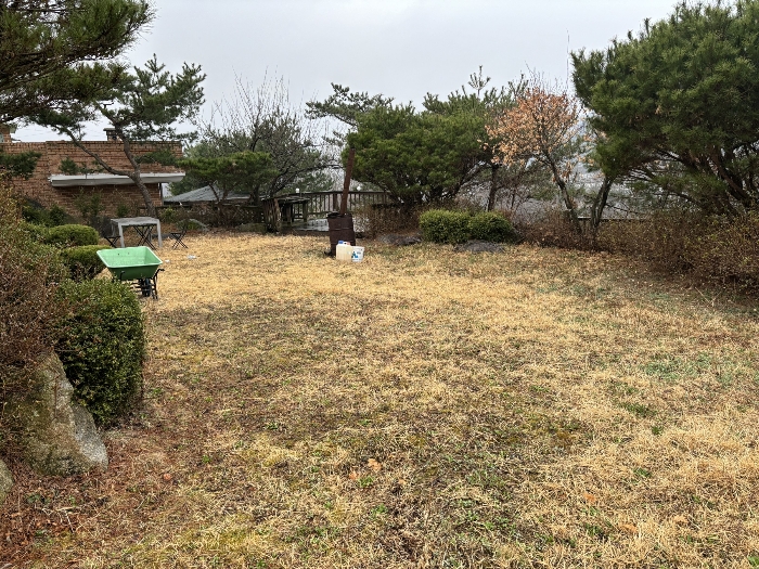 본건 정원 전경