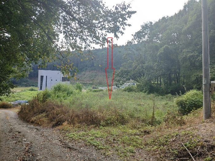 기호 4 토지 전경 - 북측 촬영