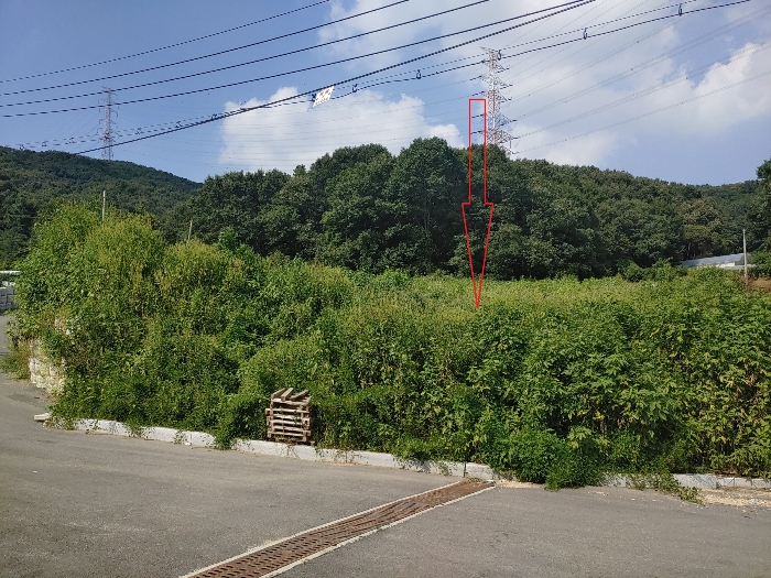 기호 1 토지 전경 - 남서측 촬영