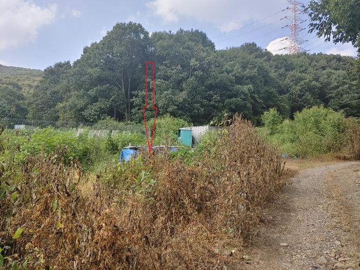 기호 3 토지 전경 - 남측 촬영