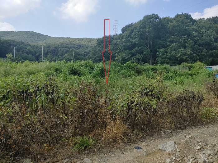 기호 2 토지 전경 - 남측 촬영