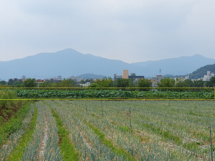 (1)토지 북측 전경