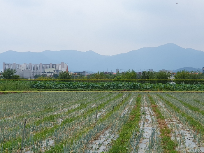 (1)토지 북측 전경