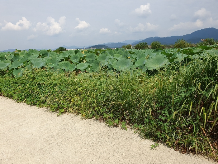 (2)토지 남동측 전경