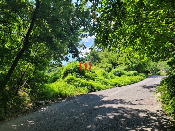 본건전경
(북서측에서 촬영)