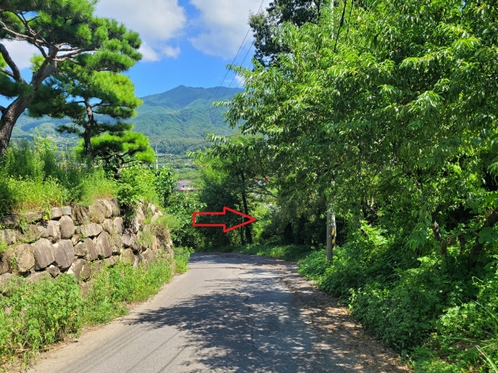 본건 및 주변전경
(서측 도로 남측에서 촬영)