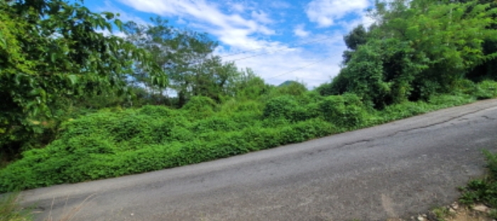 이하 덕곡동 597 전 (연고미상 분묘 2기 존재)