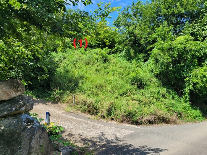 본건전경
(남동측 주변에서 촬영)