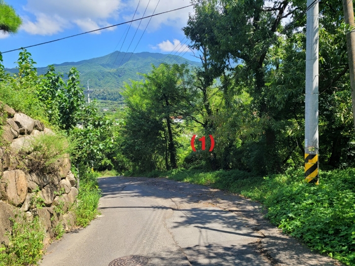 본건전경
(서측 도로 남측에서 촬영)