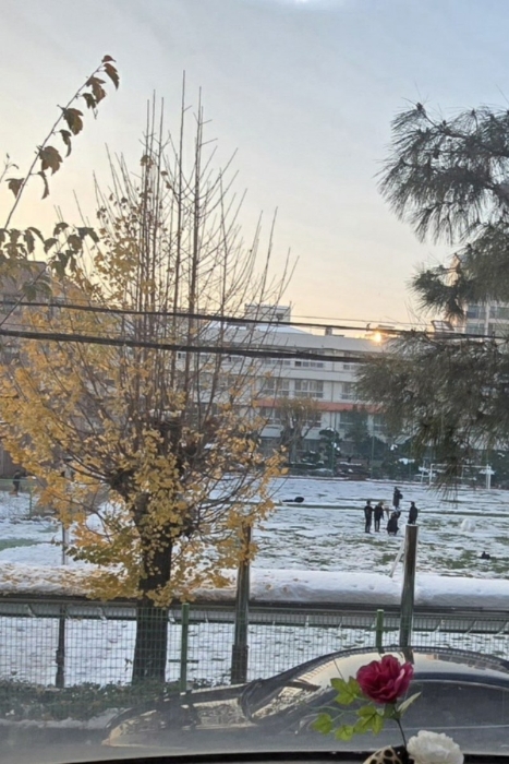 인근 서초중학교교정