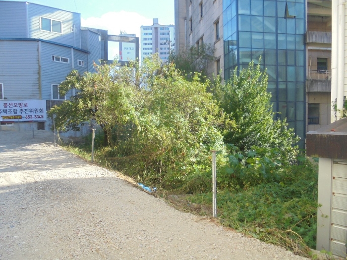 본건 기호(3)