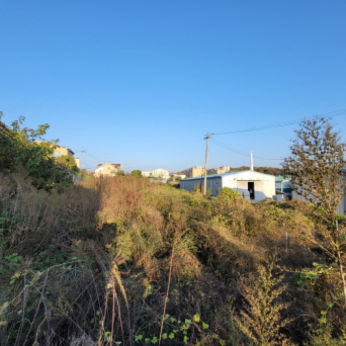 목록1 토지 전경