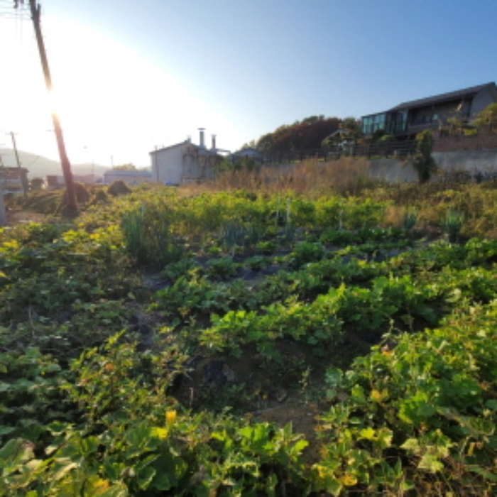 목록3 토지 전경