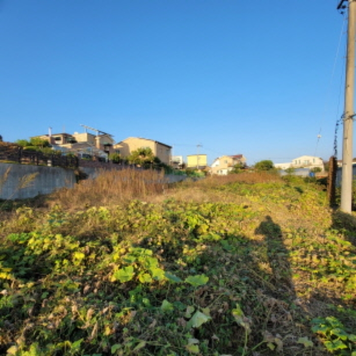 목록3 토지 전경