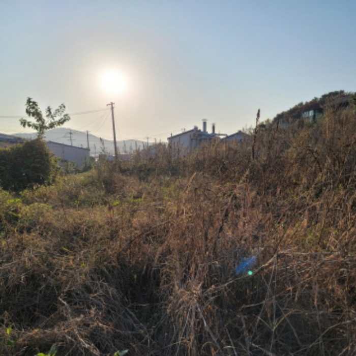 목록3 토지 전경