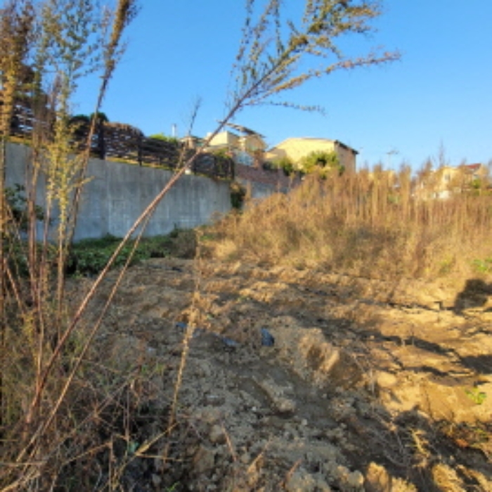 목록4 토지 전경