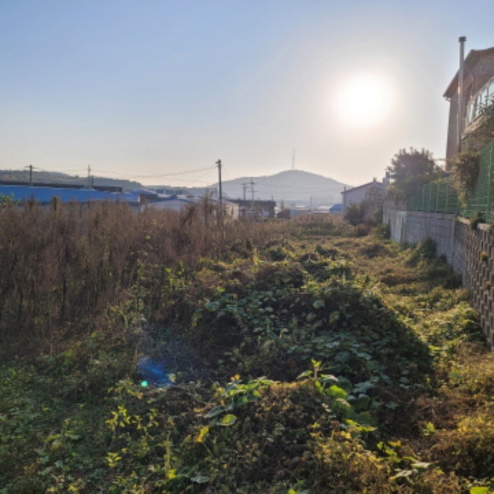 목록4 토지 전경