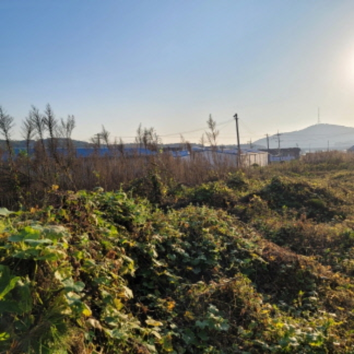 목록4 토지 전경